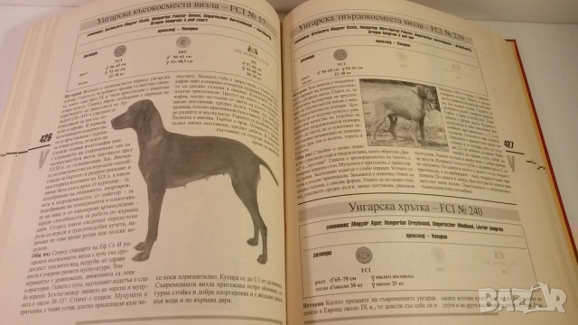 Световна енциклопедия на кучетата - Венелин Динчев, снимка 14 - Енциклопедии, справочници - 54083830