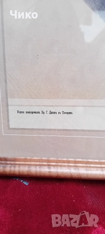 Стар голям виенски портрет, снимка 11 - Антикварни и старинни предмети - 52573058