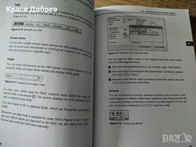 Идеалната книга за старт в SAP: "Using SAP" (Rheinwerk Publishing , снимка 4 - Бизнес, икономика и право - 55920421