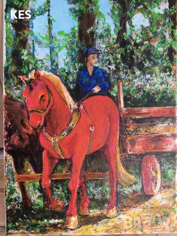 Червените кончета