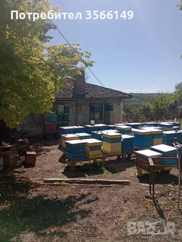 Къща, снимка 1