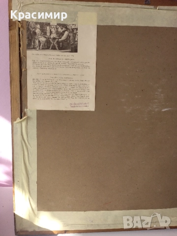 Лекарят от планината.1950 г., снимка 10 - Колекции - 52106315