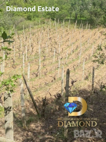 Имот с две вили в гр. Харманли, снимка 10 - Вили - 53118289