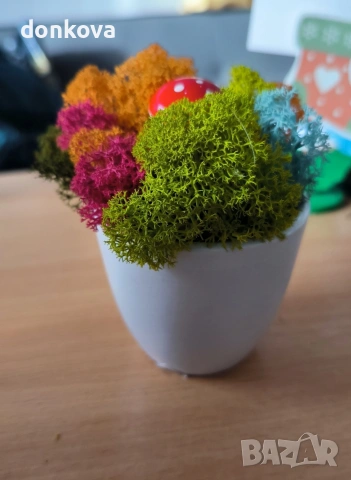 живи картини декорации от скандинавски мъх., снимка 6 - Картини - 53978658