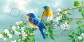 Мини картички: Животни, снимка 6