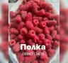 Малини сезон 2026, снимка 6