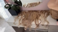 Екстеншъни 100% човешка Remy коса, снимка 4