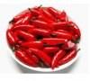 изкуствена декоративна декоративни люти люта чушка чушки чили chili украса аранжиране зеленчуци