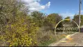 Парцел гр.Хасково кв.Каменец, снимка 2