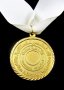 Египет-Египетска федерация по бокс-Награден медал, снимка 3