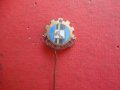 Знак значка ЦС на ТПК бронз емайл, снимка 2