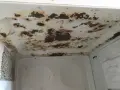 Пазете се от измамника МатиМакс!!!, снимка 6