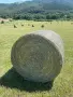 Ливадно сено - Бали 120х120см, снимка 3