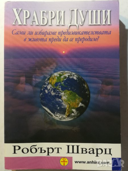 Храбри души-Сами ли избираме предизвикателствата в живота преди да се преродим?- Робърт Шварц, снимка 1