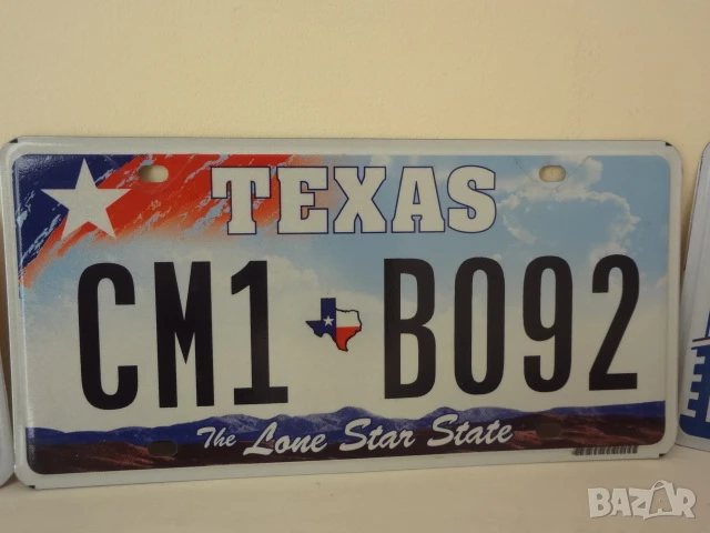 Автомобилни номера (регистрационни табели) от САЩ, снимка 1