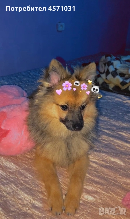 Продава се!, снимка 1