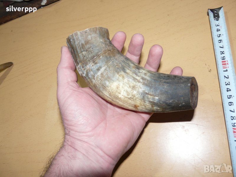  Стар кравешки рог - 2 , снимка 1