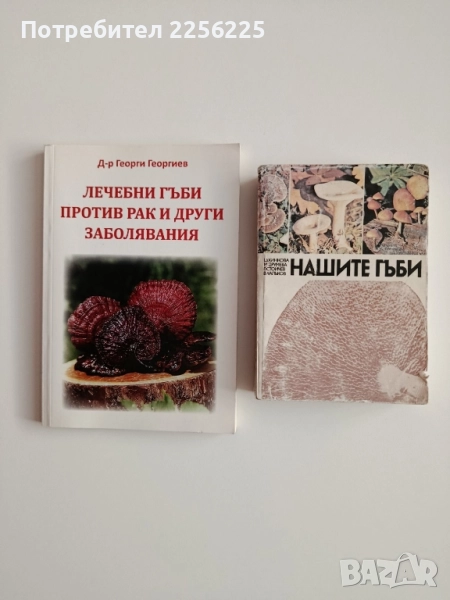 ЛОТ Гъбарство, снимка 1