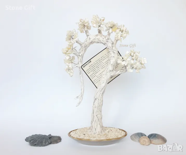 Дръвче Седеф, 20 Рожден ден, Подарък за двойка, Дърво перли, Офис подарък, Зодия Риби, снимка 1