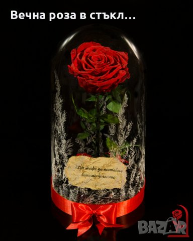 Романтичен подарък за приятелка / ЕСТЕСТВЕНА вечна роза в стъкленица / Подарък за Рожден Ден на Жена, снимка 6 - Градински цветя и растения - 24090675