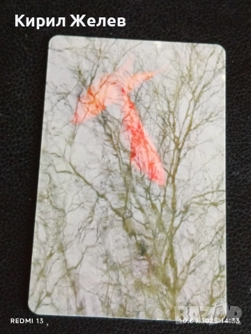 Две фонокарти БЕТКОМ, БУЛ ФОН тема РИЛСКИ МАНАСТИР за КОЛЕКЦИЯ ДЕКОРАЦИЯ 50889, снимка 7 - Колекции - 51666529