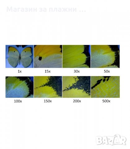 ДИГИТАЛЕН МИКРОСКОП С USB 1000X 8 LED HD КАМЕРА ALBERT - код 1134, снимка 5 - Уреди за диагностика - 34294631