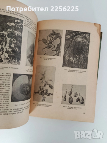 Фитопатология 1964г, снимка 2 - Специализирана литература - 52790203