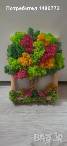 Дърво в рамка със скандинавски мъх, снимка 2 - Декорация за дома - 48071745