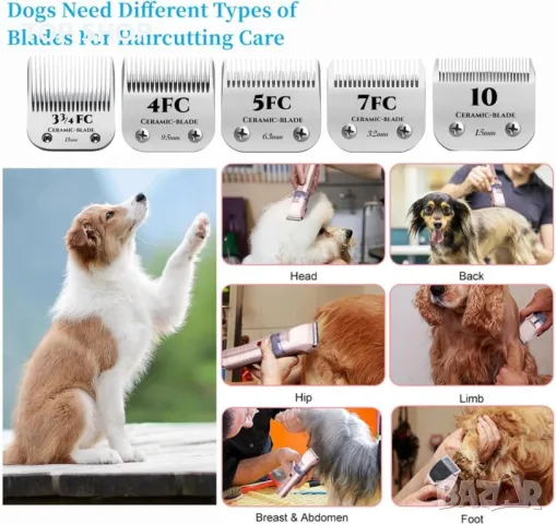 Разглобяеми керамични ножчета за подстригване на домашни кучета, снимка 3 - За кучета - 49866165