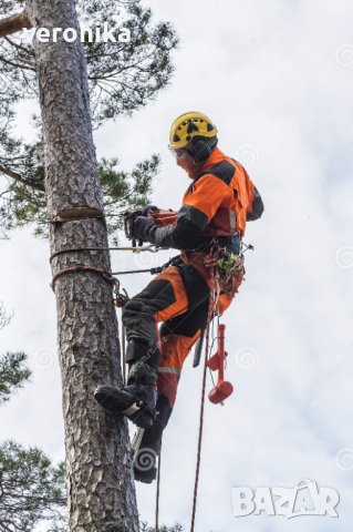 Рязане и кастрене на опасни дървета, снимка 1 - Други почистващи услуги - 40629682