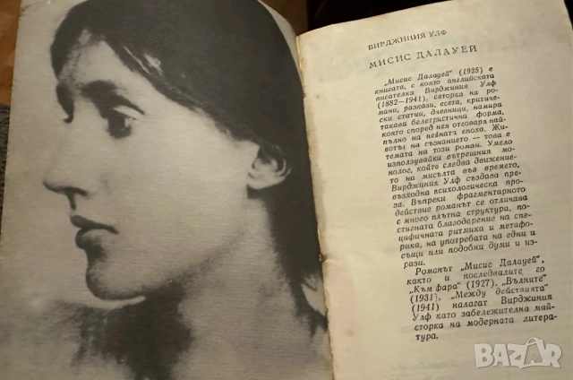 Вирджиния Улф -Мисис Далауей-Орландо-Смъртта на еднодневката, снимка 5 - Художествена литература - 52031793