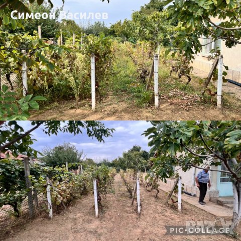 Предлагаме почистване на разумна цена!!, снимка 2 - Почистване на домове - 32628114