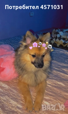 Продава се!