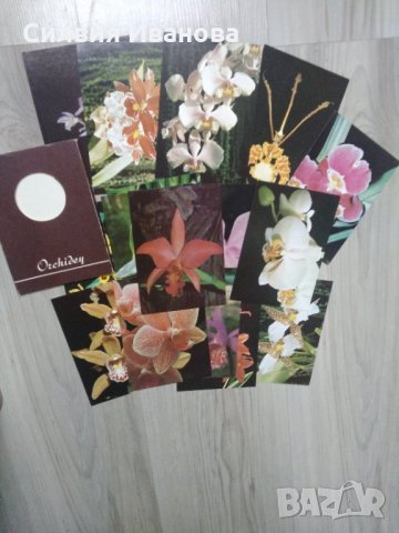 Колекции пощенски картички, руски, стари., снимка 6 - Колекции - 34270369