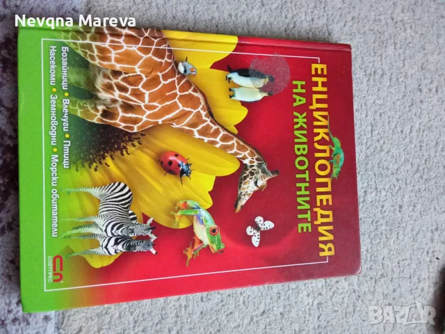 Детски книжки- като нови, снимка 4 - Детски книжки - 56381946