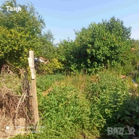 Продавам къща в село Ореховица (обл. Плевен, общ. Долна Митрополия), снимка 7 - Къщи - 51966538