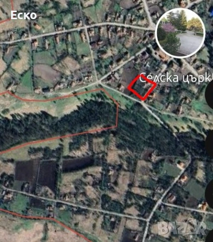 Парцел в с.Ведрина 1320м2. Ток, вода, регуляция. Идеально тихо и зелено място, орехова гора., снимка 2 - Парцели - 53327639