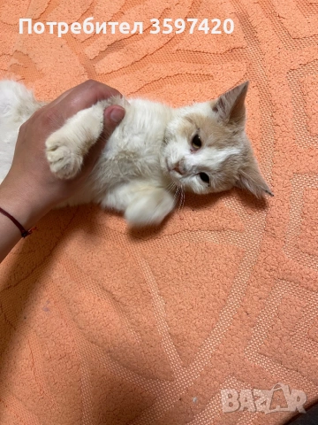 Подарява се 