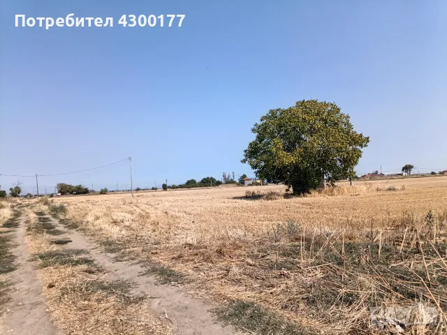 Земя град Съединение , снимка 8 - Парцели - 48435128