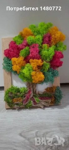 Дърво от скандинавски мъх в рамка, снимка 14 - Декорация за дома - 47986453