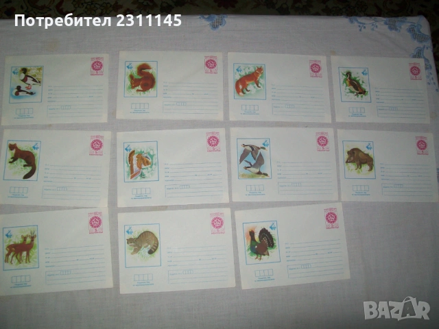 пликове за писма с животни