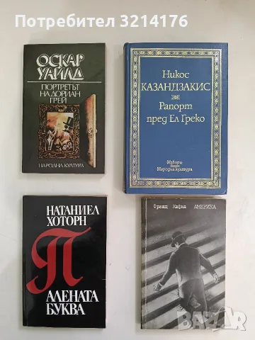 Алената буква - Натаниъл Хоторн (Отлично състояние)
