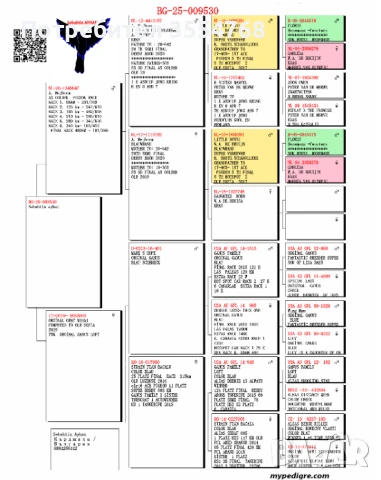 Продавам спортни гълъби , снимка 8 - Гълъби - 50760807