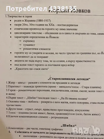 Материали за матури/ДЗИ по БЕЛ 11, 12 клас, снимка 1 - Ученически пособия, канцеларски материали - 48446549