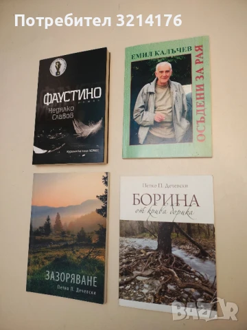 (НОВА!) Борина от крива Борика - Петко П. Дечевски (С автограф)