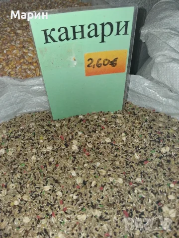 Храна за канари