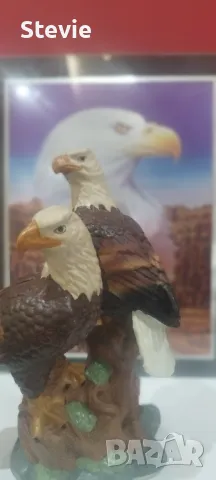 Фигура и картина на Белоглави орли, снимка 5 - Картини - 48272426