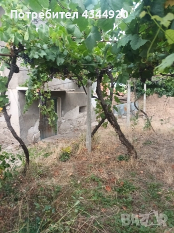 Къща С. Памидово , снимка 5 - Къщи - 51890486