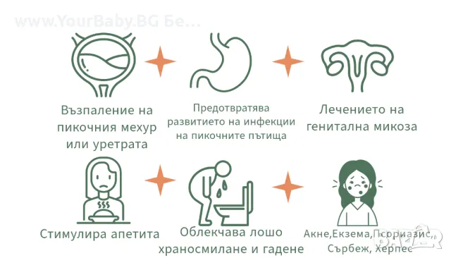 Oilo БИО Етерично Масло от Бергамот (Citrus bergamia) - Bergamot Oilo 5 мл., снимка 6 - Други - 49721220