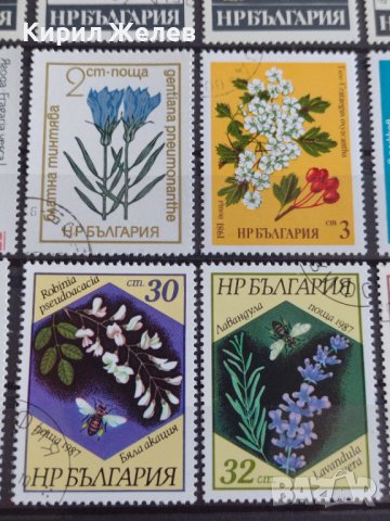 Пощенски марки  ЦВЕТЯ стари редки за колекция декорация поща България от соца 29539, снимка 3 - Филателия - 37713345